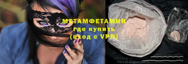 прущие грибы Зеленокумск