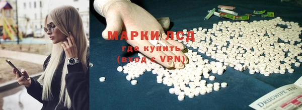 прущие грибы Зеленокумск