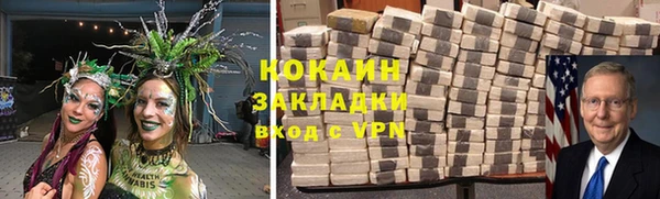 прущие грибы Зеленокумск