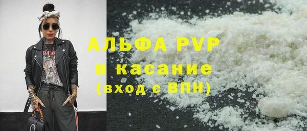 прущие грибы Зеленокумск