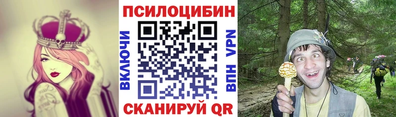 Псилоцибиновые грибы мицелий  OMG как войти  Сосногорск 
