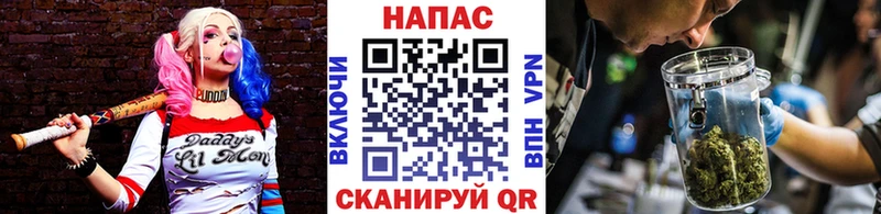 Шишки марихуана сатива купить наркоту Сосногорск